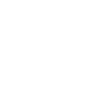 DFES Logo